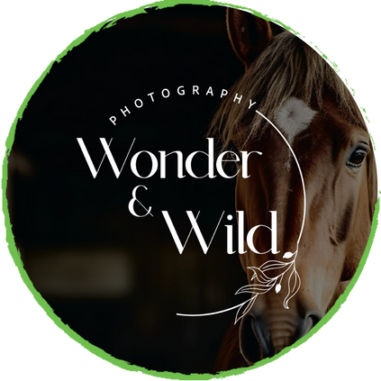 Wonder and Wild Project